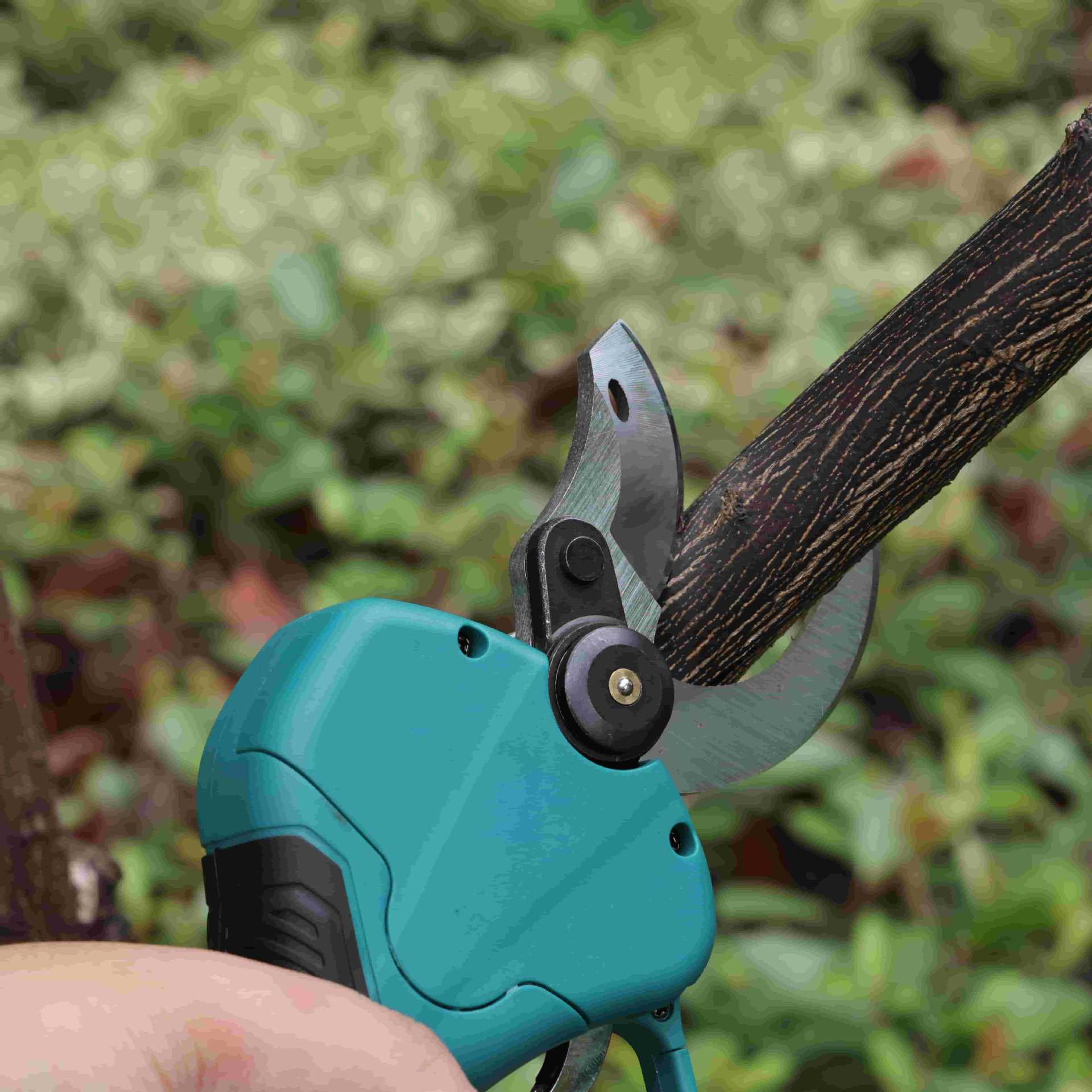 High pole garden pruning shear - огляд і ціна Pruning Shears