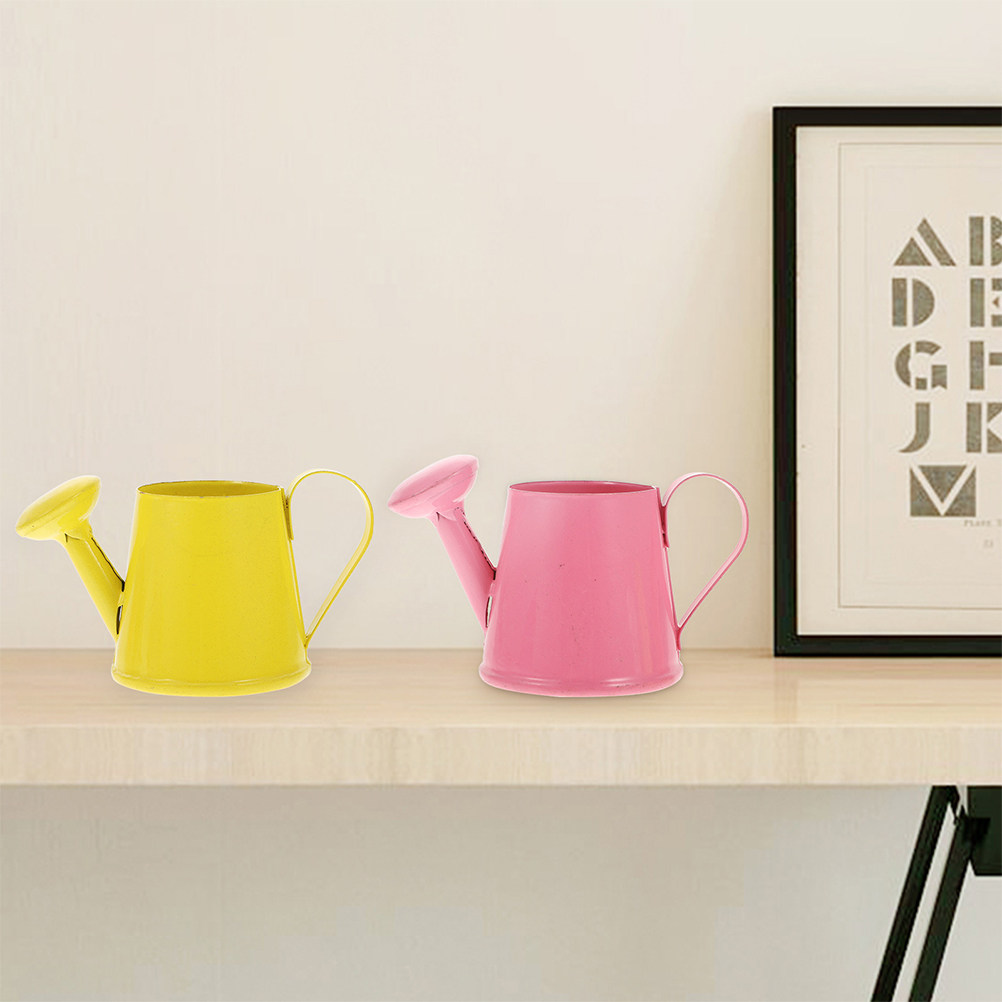 4Pcs Mini Metal Garden Waterin - огляд і ціна Watering Can