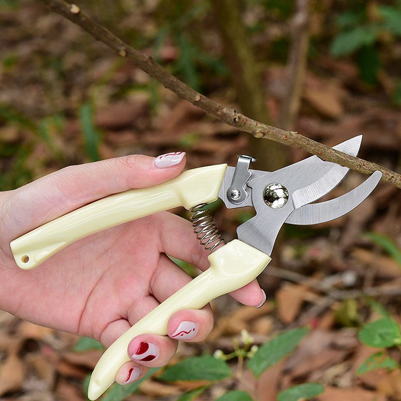 Labor‑Saving Garden Pruning Sh - огляд і ціна Pruning Shears