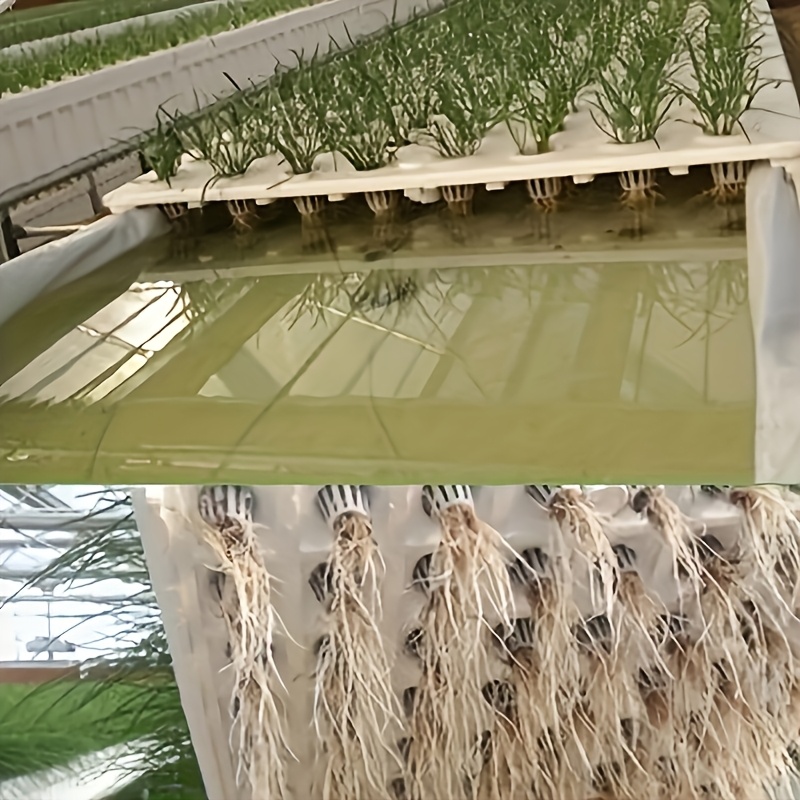 10pcs Hydroponic Seedling Bask - огляд і ціна Seed Starter Tray