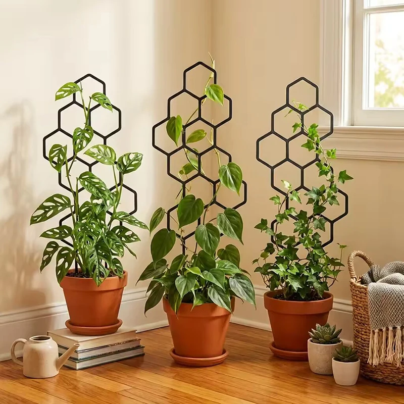 2/4pcs Honeycomb Design Plant  - огляд і ціна Indoor Herb Garden