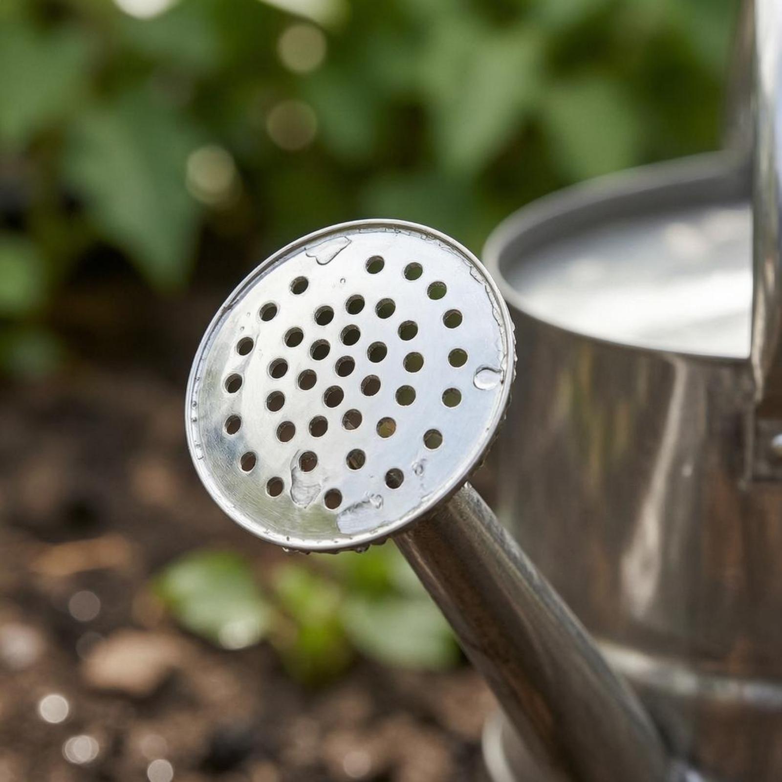 Garden Flower Watering Can Sta - огляд і ціна Watering Can