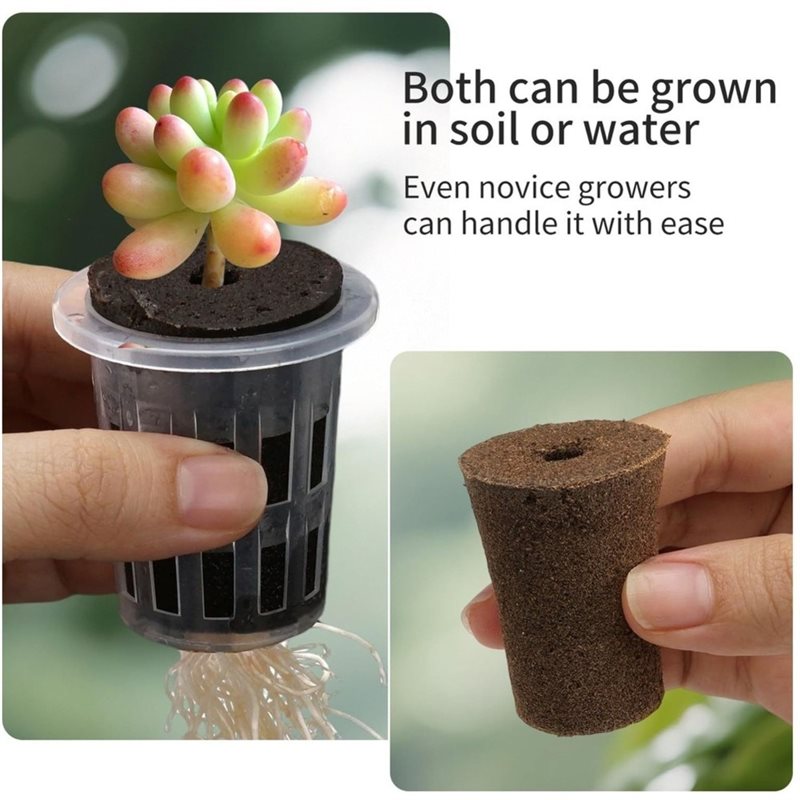 [ABFI!】 Hydroponic Seedling Cu - огляд і ціна Hydroponic Kit