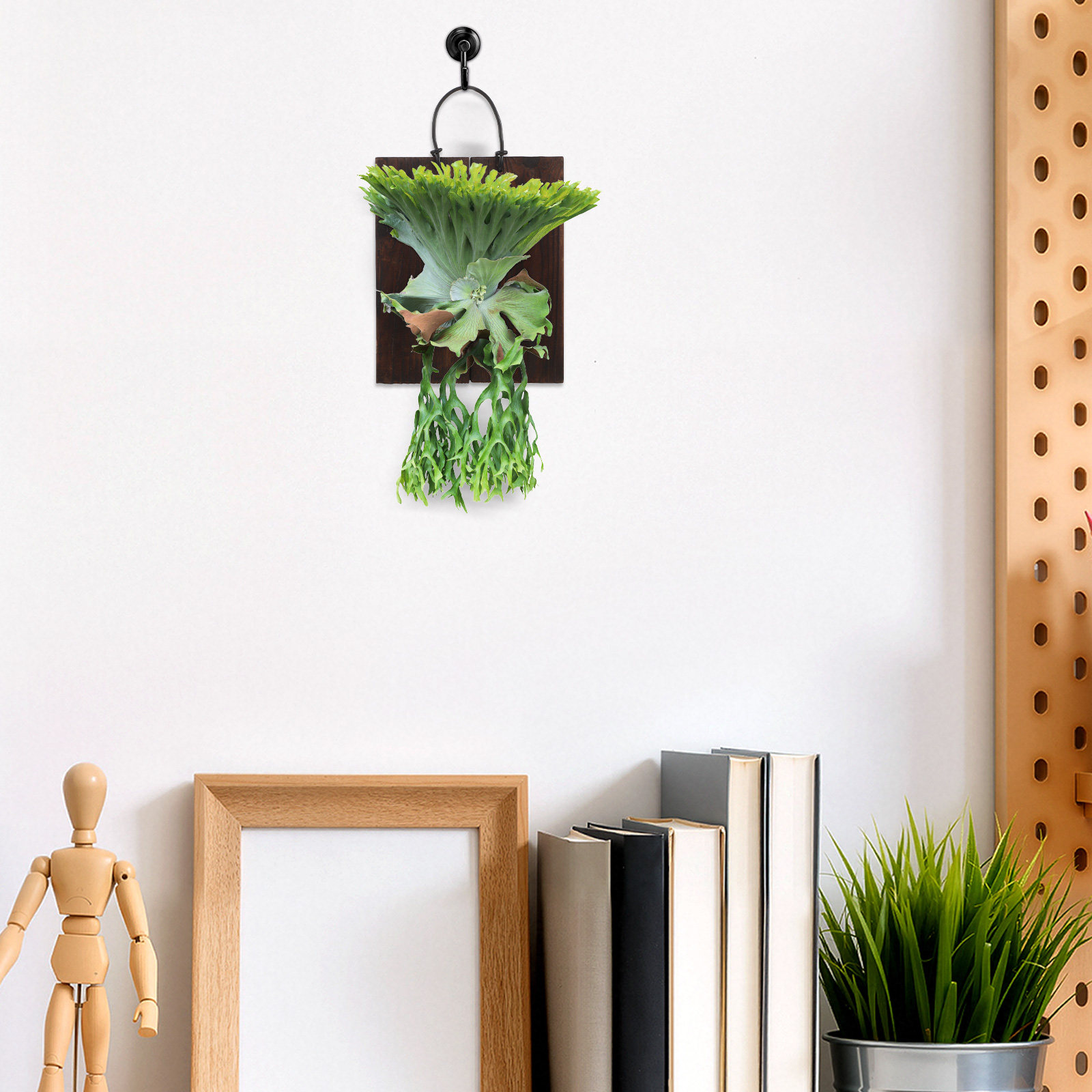 Staghorn Fern Mounting Board C - огляд і ціна Vertical Planter